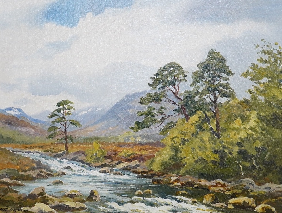 Robert Egginton (b.1943), oil on canvas, Mountainous riverscape, signed, 34 x 44cm. Condition - good